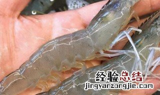 虾池水质变浑浊怎么办 虾是什么