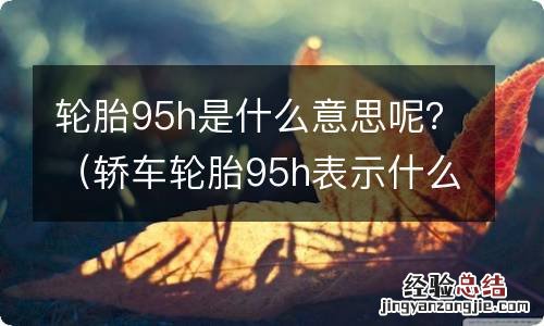 轿车轮胎95h表示什么 轮胎95h是什么意思呢？