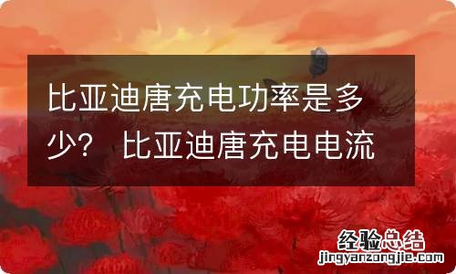 比亚迪唐充电功率是多少? 比亚迪唐充电电流多大