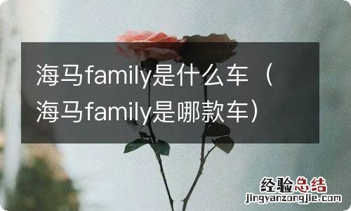 海马family是哪款车 海马family是什么车