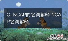 C-NCAP的名词解释 NCAP名词解释