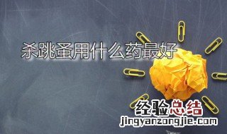 杀跳蚤用什么药最好 宠物杀跳蚤用什么药最好