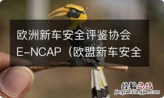 欧盟新车安全评鉴协会 欧洲新车安全评鉴协会E-NCAP