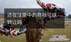 还在注册中的商标可以转让吗