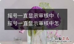 摇号一直显示审核中怎么回事 摇号一直显示审核中