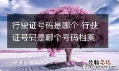 行驶证号码是哪个 行驶证号码是哪个号码档案编号是空的