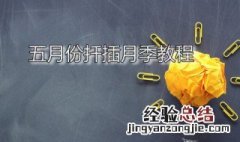 五月份扦插月季教程图解 五月份扦插月季教程