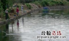 雨后水浑能钓鱼吗 大雨过后水浑能钓鱼吗