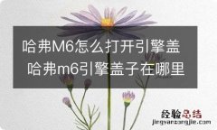 哈弗M6怎么打开引擎盖 哈弗m6引擎盖子在哪里打开