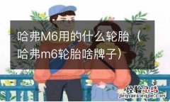 哈弗m6轮胎啥牌子 哈弗M6用的什么轮胎