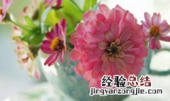 花卉秃杆的解决方法视频 花卉秃杆的解决方法