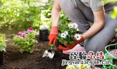 植物栽种之前给土壤进行消毒 植物栽种之前给土壤进行消毒可以吗