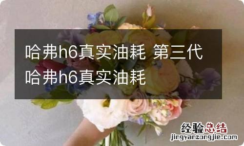 哈弗h6真实油耗 第三代哈弗h6真实油耗