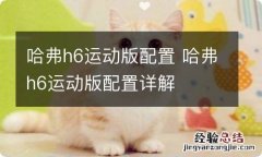 哈弗h6运动版配置 哈弗h6运动版配置详解