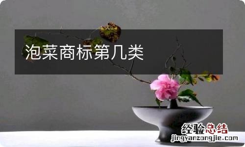 泡菜商标第几类