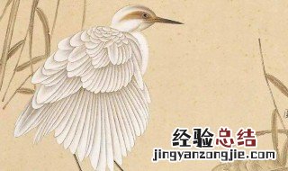 自学工笔画入门步骤 赶紧来学习一下吧