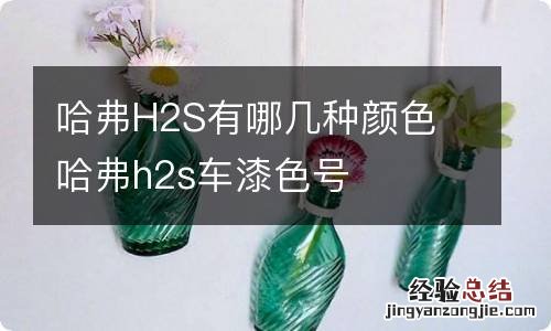 哈弗H2S有哪几种颜色 哈弗h2s车漆色号