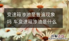 变速箱渗油是普遍现象吗 车变速箱渗油是什么情况