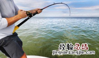 自配鱼饵方法 自配鱼饵方法图解