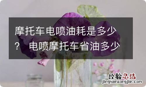 摩托车电喷油耗是多少？ 电喷摩托车省油多少