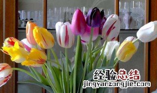 哪个花卉不宜放入房间 哪种花不宜放入房间