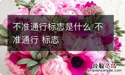 不准通行标志是什么 不准通行 标志
