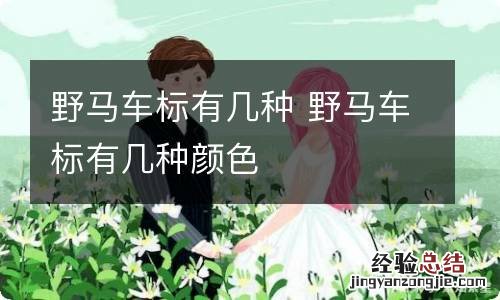 野马车标有几种 野马车标有几种颜色