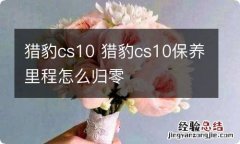 猎豹cs10 猎豹cs10保养里程怎么归零