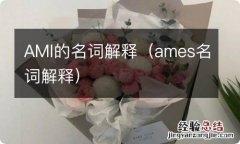 ames名词解释 AMI的名词解释