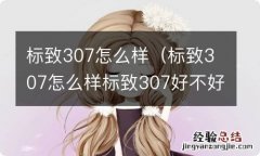 标致307怎么样标致307好不好 标致307怎么样