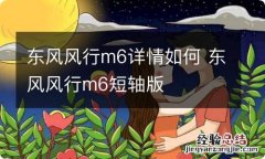 东风风行m6详情如何 东风风行m6短轴版