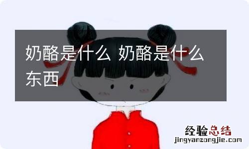 奶酪是什么 奶酪是什么东西