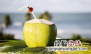 椰青需要放冰箱吗 青椰子要放冰箱吗
