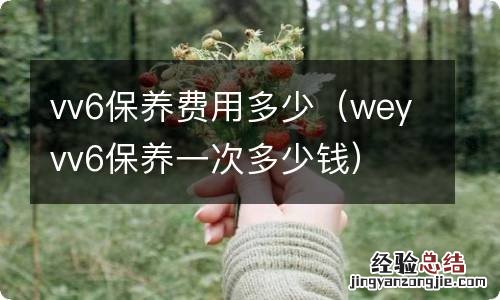 weyvv6保养一次多少钱 vv6保养费用多少