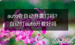 auto会自动开雾灯吗？ 自动灯auto开着好吗