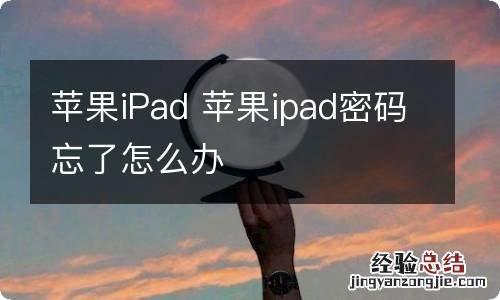 苹果iPad 苹果ipad密码忘了怎么办