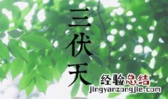 初伏怎么定 初伏如何确定的