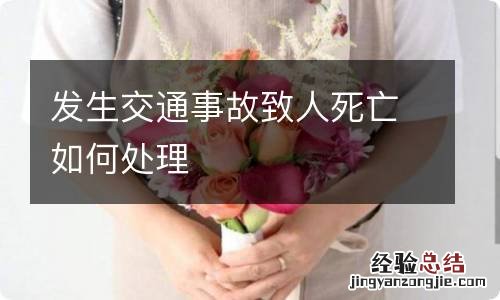 发生交通事故致人死亡如何处理