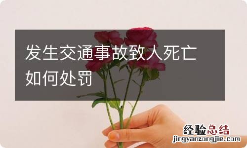 发生交通事故致人死亡如何处罚