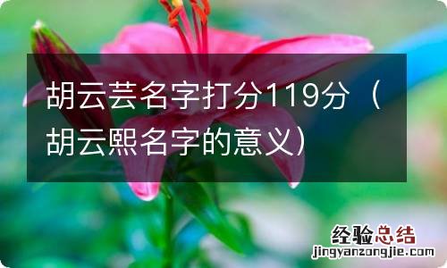 胡云熙名字的意义 胡云芸名字打分119分