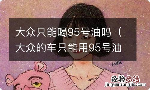 大众的车只能用95号油 大众只能喝95号油吗