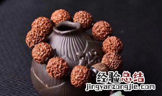 大金刚菩提怎么盘玩 大金刚菩提盘玩方法