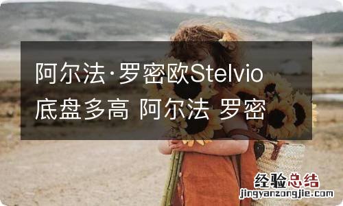 阿尔法·罗密欧Stelvio底盘多高 阿尔法 罗密欧 stelvio 底盘