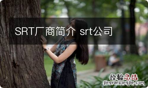 SRT厂商简介 srt公司