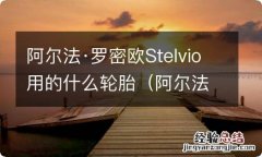 阿尔法罗密欧stelvio汽车之家论坛 阿尔法·罗密欧Stelvio用的什么轮胎