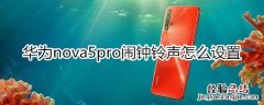 华为nova5pro闹钟铃声怎么设置