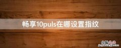 畅享10puls在哪设置指纹 畅享10怎么设置屏幕指纹解锁