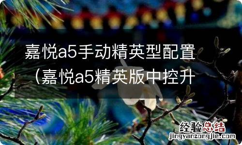 嘉悦a5精英版中控升级 嘉悦a5手动精英型配置