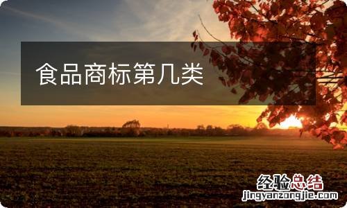 食品商标第几类