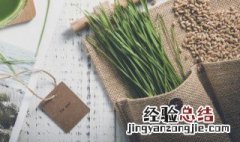 怎么种小麦苗 怎么种小麦苗视频教程